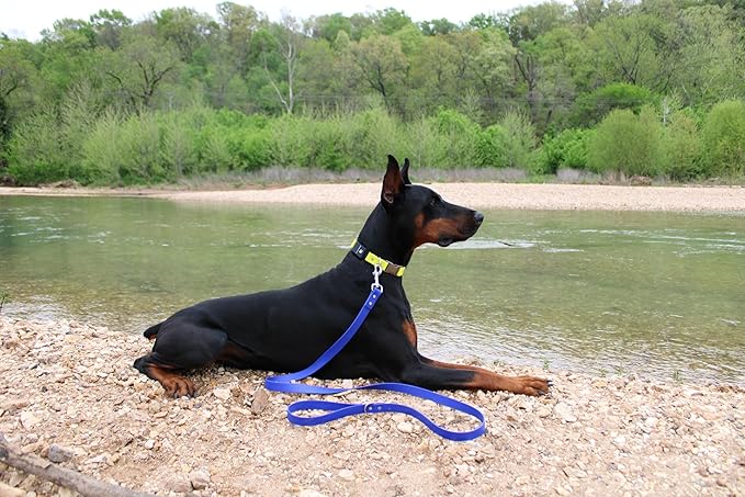 6ft Long Leash for Dogs - 1000lb Strength, Waterproof with Stainless Steel Hardware, Durable Long Dog Leash for Large Breeds