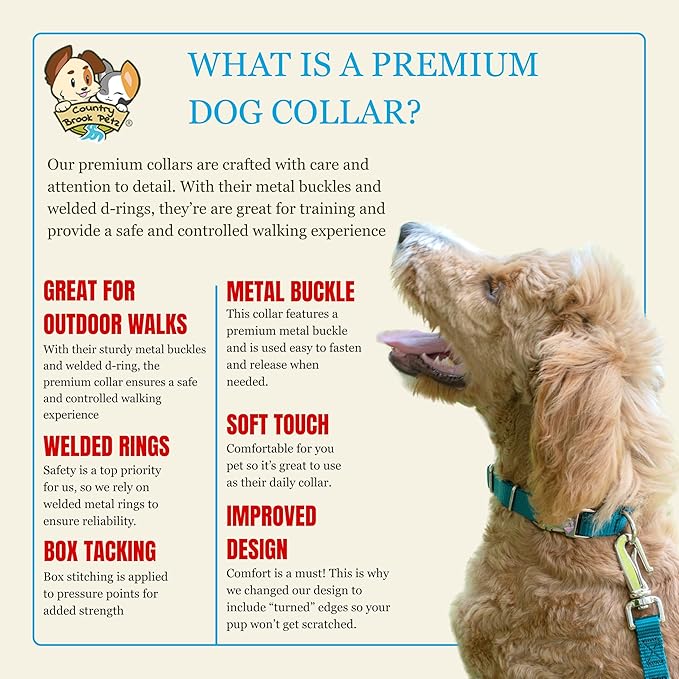 Country Brook Petz - Premium Nylon Dog Collar with Metal Buckle for Small Medium Large Breeds - 10+ Cool Colors (Small, 3/4 Inch, Teal)