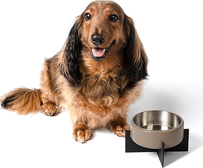 DBL3000G Intersecta Small/Medium Concrete and Stainless Steel Bowl 16oz (2 Cups) with Metal Stand Pet Feeder, Brown/Black