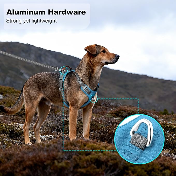 No Pull Dog Harness – Adjustable Reflective Nylon Vest for Small Medium Large Dogs, Escape Proof Training Harness with Leather Control Handle, Lightweight Aluminum Hardware (Cyan, L)