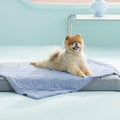 Bedsure Premium Cooling Blanket for Small Dog - Q-MAX>0.5, Breathable Summer Washable Cold Pet Throw Blanket, Soft Durable Self Cooling Cat Mat for Hot Weather, Powder Blue, 25x35
