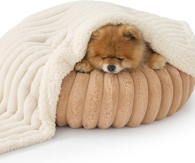 Bedsure ComfyFleece Waterproof Dog Blankets for Small Dogs - Soft Puppy Cat Blanket Corduroy Fleece Washable, Cozy Calming Reversible Furniture Protection for Pet Kitten Doggy,25"x35", Cream