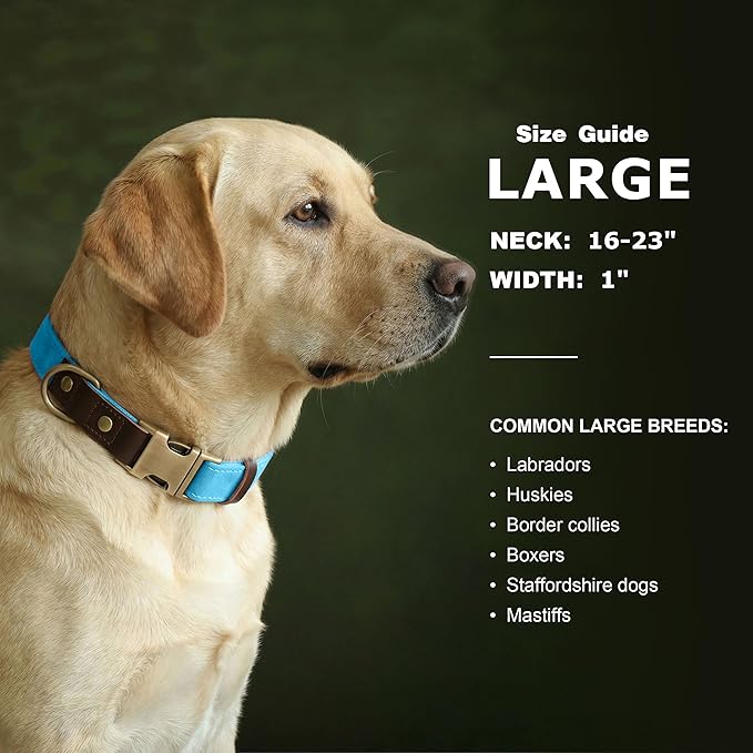 Didog Soft PU Leather Dog Collar for Large Dogs,Classic Adjustable Dog Collars with Quick Release Metal Buckle,Easy Clean and Comfortable with Nylon Lining,Light Blue,L Neck 16-23"
