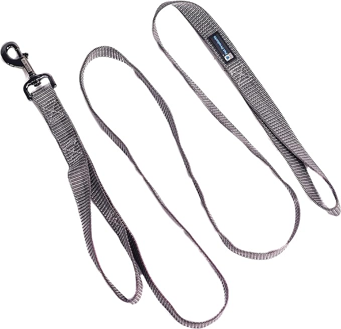 Blue-9 Reflective Dog Leash, Multi-Function 6 Foot Adjustable Lead with Traffic Loop and 3M Reflective Stitching for Obedience, Running, and Agility Training, Made in The USA, Medium/Large, Grey