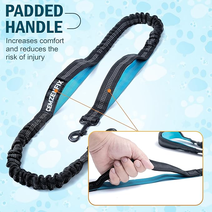 Hands Free Dog Leash for 2 Dogs – Waist Leash for Dog Walking with Dual Bungee, Reflective No Pull Design, Adjustable Belt & Pouch for Running, Hiking, Jogging