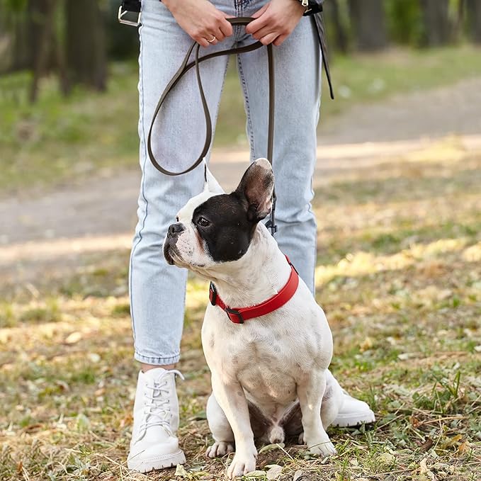 Dogline Biothane Waterproof Dog Leash Strong Coated Nylon Webbing with Black Hardware Odor-Proof Easy to Clean High Performance for Small or Large Dogs Made in USA 4 or 6 ft Lead, Dark Chocolate Brown