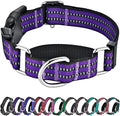 Hikiko Martingale Collar for Dogs Reflective Nylon Dog Collar with Quick Release Buckle Adjustable Training No Slip Dog Collar (X-Small, Purple)