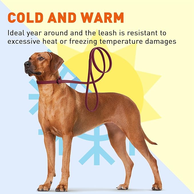 Dogline Biothane Slip Dog Leash - for Small, Medium and Large Dogs - Odor Free Slip Lead, Heavy Duty and Durable Material Kennel Lead - Merlot Burgundy - 5ft L x 3/8in W
