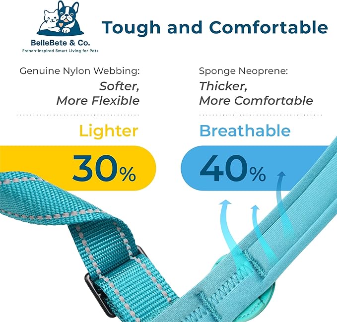 BelleBête & Co. AirTag Dog Collar – Pet Tracking Collar with Patented Anti-Loss Design, Durable and Reinforced Nylon, All-Day Comfort, Stylish Color for Medium and Large Dogs (Teal, S: 11.8"-14.6")