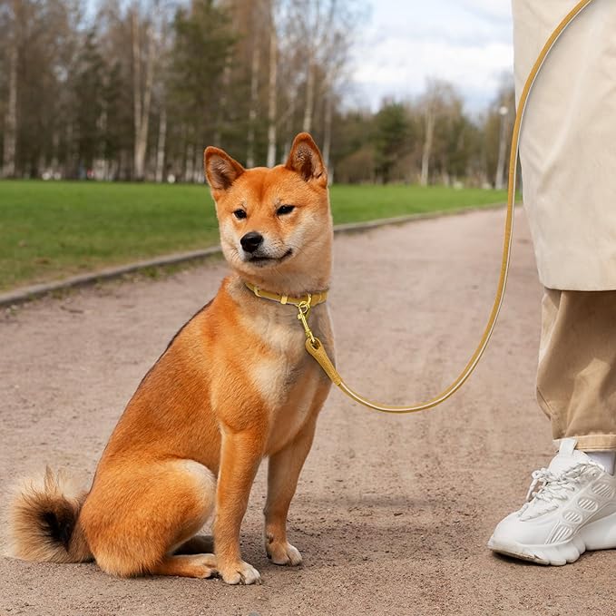 OOPSDOGGY Reflective Rolled Leather Dog Leash 6ft - Soft Training Lead for Small Medium Large Dogs Puppy - Heavy Duty Rope Puppies Leashes for Outdoor Walking Running (Camel, Medium/Large)