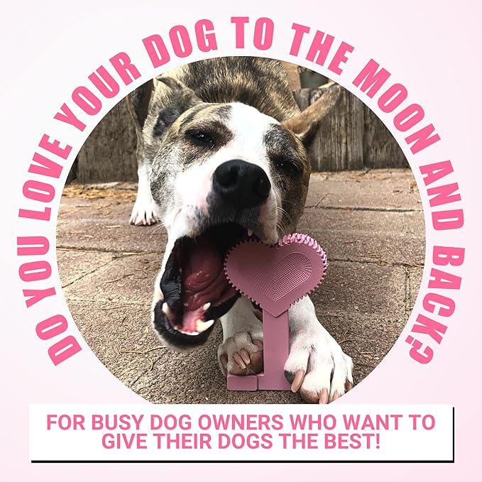 Bullibone Nylon Dog Chew Toy for Aggressive Chewers - Dental Hygiene Bone with Peppermint Flavor, Durable Tough Chew Toys for Small Dogs, Indestructible Dog Bone - 2 Pack