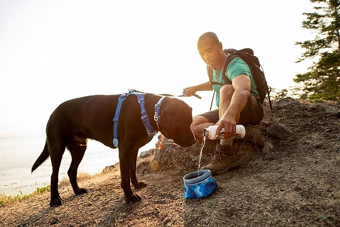 Ruffwear, Quencher Collapsible Dog Bowl, Packable Food & Water Bowl with Waterproof Lining, Water-Resistant Shell, & Reflective Trim, Lightweight, 4.2 Cups (1 L), Coastal Mountains, Medium