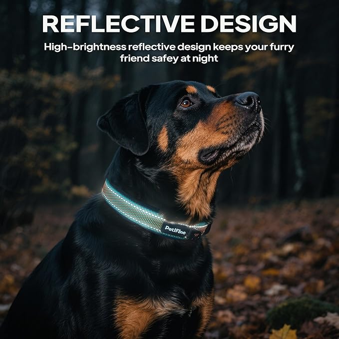 PetiFine Dog Collar for Large Dogs, Neoprene Padded and Adjustable, Reflective Wide Heavy Duty Pet Collars with Durable Metal Belt Buckle for Walking, Teal&Orange, M