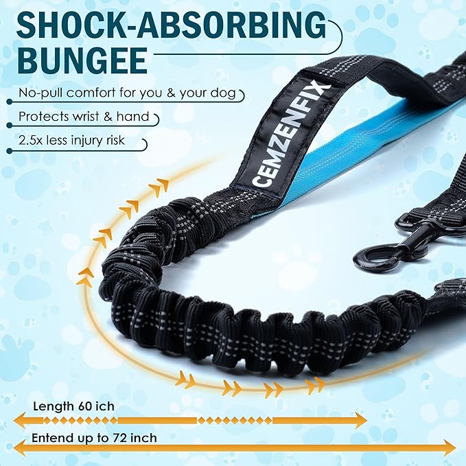 Hands Free Dog Leash for 2 Dogs – Waist Leash for Dog Walking with Dual Bungee, Reflective No Pull Design, Adjustable Belt & Pouch for Running, Hiking, Jogging