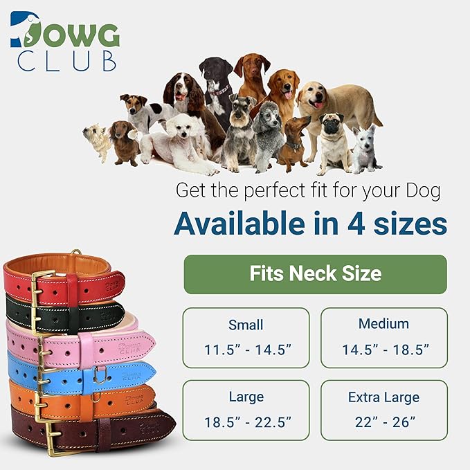 Genuine Leather Dog Collar | Full Grain, Heavy Duty, Comfortable, Padded, Strong | Best for Pups, Small, Medium, Large & XL Breeds (X-Large (Fit Neck Size 22"-26"), Blue)
