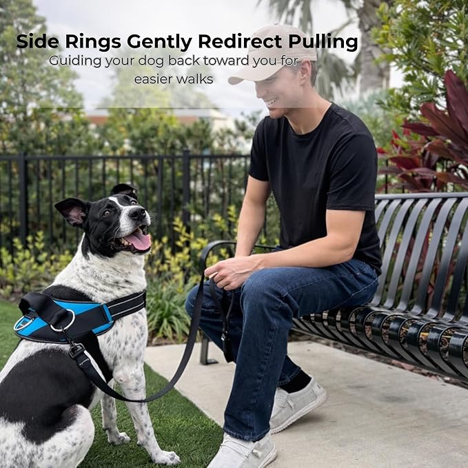 ShawnCo Essential Dog Harness, No-Pull Pet Vest with 3 Leash Clips, No Choke, Reflective, Adjustable and Padded, for Easy Walking and Training for Small, Medium and Large Dogs (Electric Blue,L)