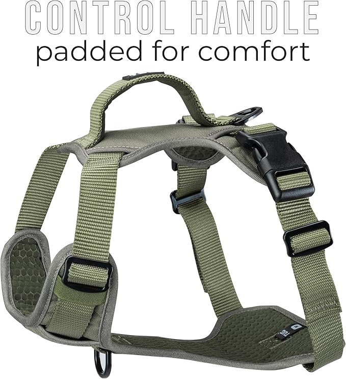 TUG Dog Harness with 2 Leash Connection Points | Adjustable, Padded, Lightweight | Handle on Back | No-Pull Front Clip (Small, Green)