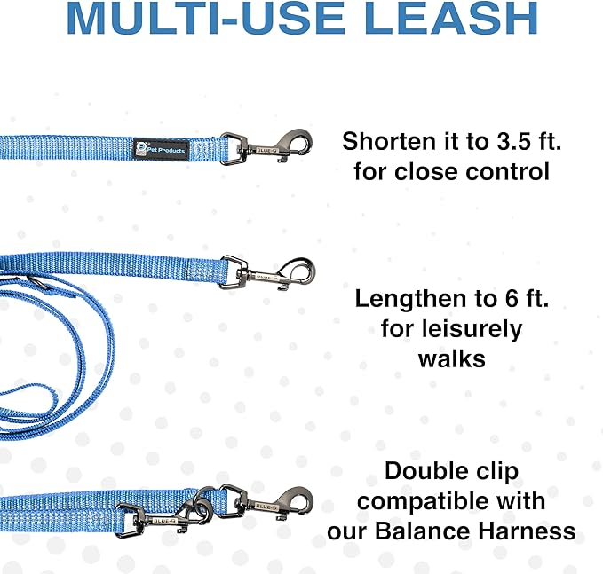 Blue-9 Reflective Multi-Function Dog Leash, Double Attachment Adjustable Lead for Obedience Training and Running, 6 Feet, Made in The USA, Medium/Large, Blue