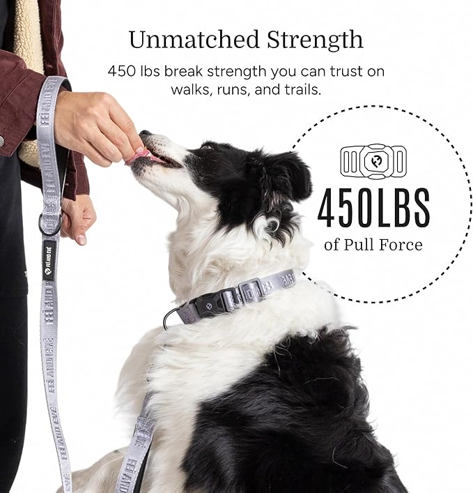 2026 New Edition, Fei & Eve MagEase Dog Collar - Patented Magnetic Buckles | Fur-Safe | Premium 210D Nylon | 450LB Escape-Proof | Adjustable Fit | Small (Twilight Gray)