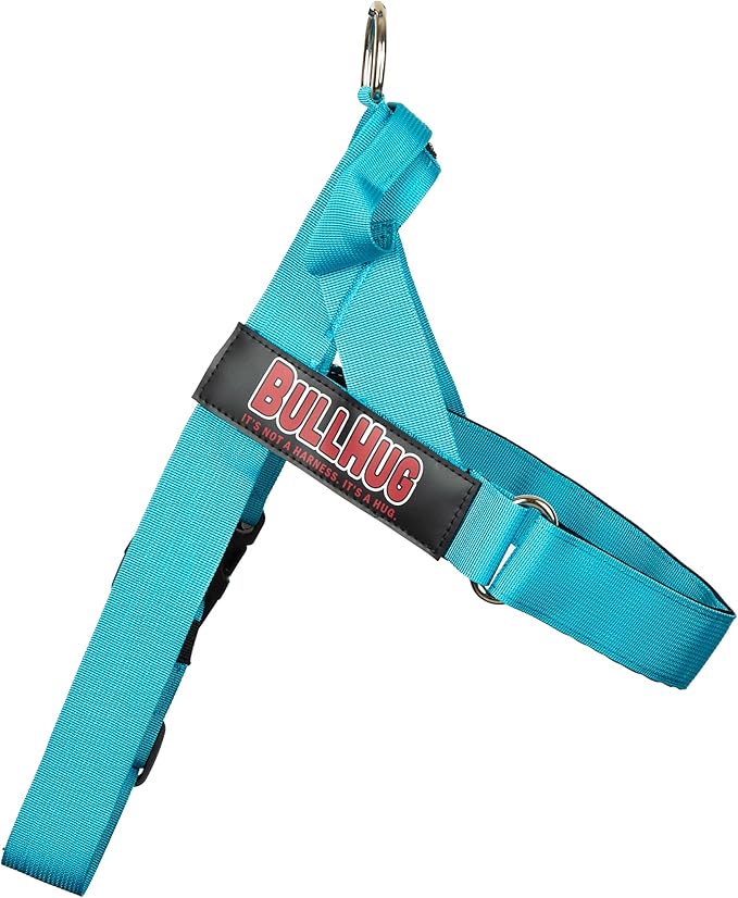 BULLHUG Adjustable Dog Harness– No Pull, No Choke – for English Bulldogs, French Bulldogs, Pugs & Broad-Chested Breeds – Easy, Safe Walks (Teal, Small)