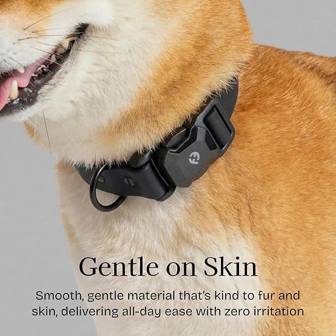 2026 New Edition, Fei & Eve PVC MagEase Dog Collar - Patented Magnetic Buckles | Fur-Safe | 450LB Escape-Proof | Adjustable Fit | Large (Black)