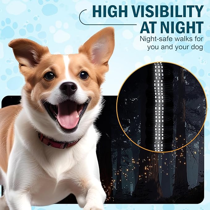 Hands Free Dog Leash for 2 Dogs – Waist Leash for Dog Walking with Dual Bungee, Reflective No Pull Design, Adjustable Belt & Pouch for Running, Hiking, Jogging