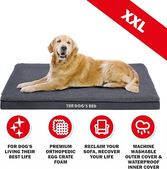 The Dog’s Bed Orthopedic Standard Foam Dog Bed Mattress, Plush Fabric, Grey, XXL