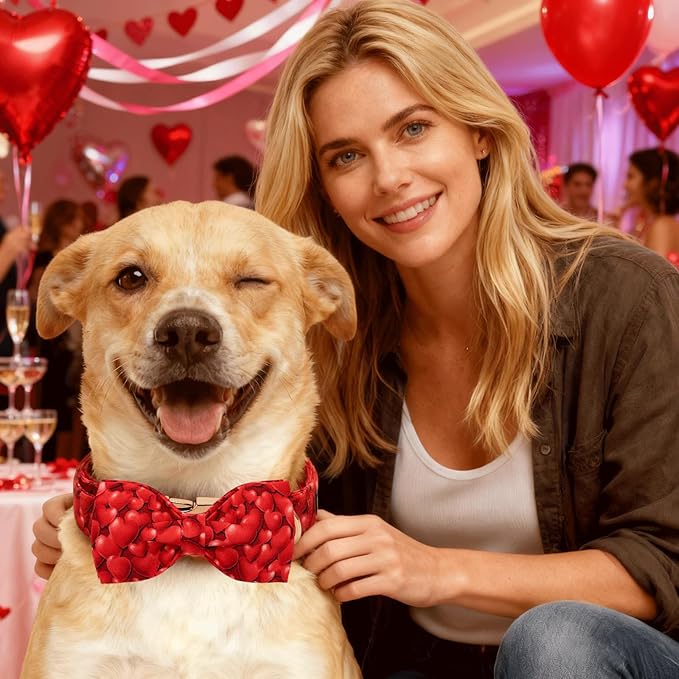 Lionheart glory Dog Bow Collar - Valentine's Day Dog Collar with Bowtie Red Hearts Print Collars Soft Adjustable for Small Dogs Puppy Male Female Dogs Spring Cute Collars