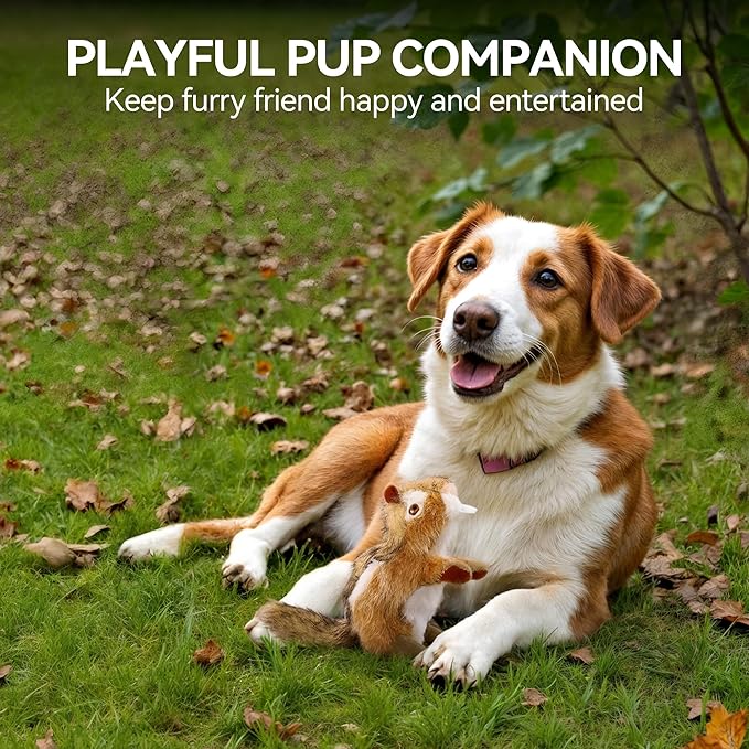 ALL FOR PAWS Squeaky Dog Toys, Plush Dog Toy, Stuffed Animal Dog Toys for Small Medium Large Dogs, Soft Chipmunk Toy with Squeaker