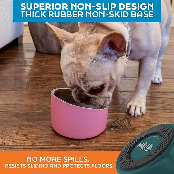 Master Pet Supply Stainless Steel Slanted Dog Cat Food Bowl - 8 oz Heavy Duty - Emerald Sea, Double Wall Insulated, Non-Slip Elevated Bowl for French Bulldogs Pugs Cats, Anti Rust Dishwasher Safe