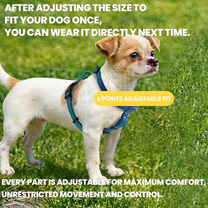 Roses&Poetry Dog Harness for Large Dogs, 6 Point Adjustable Fit No Pull Harness with Handle for Control and Easy Walking, Reflective Pet Halter Harnesses（Bluegreen-L）