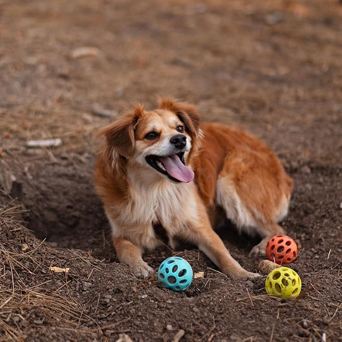 Messy Mutts Totally Pooched Huff'n Puff Ball | 3.1” TPR Puzzle Ball for Dogs | 2-in-1 Interactive Toy and Tooth Cleaner | Orange