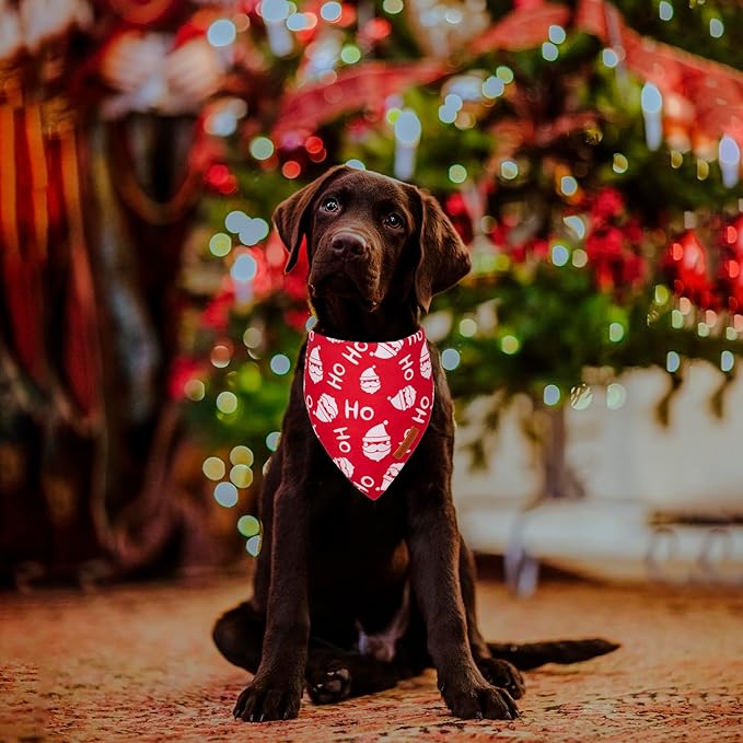 ADOGGYGO Christmas Dog Bandanas 2 Pack, Santa Tree Dog Christmas Scarf Bib, Premium Durable Fabric, Pet Holiday Bandanas for Medium Large Dogs (Large)