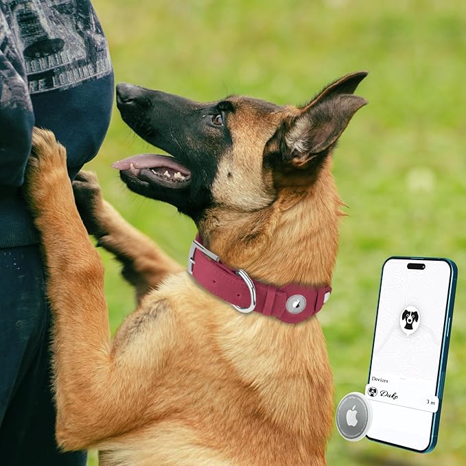 Leather Dog Collar with Airtag Holder - Apple Air Tag Dog Collars - Soft Tracking GPS Pet Collar for Small Medium Large Dogs Breed Puppy (Burgundy, M, 12"-15" Neck Fit)