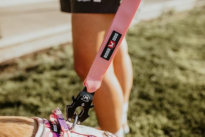 Boss Dog Tactical Leash, Pink, 4 FT