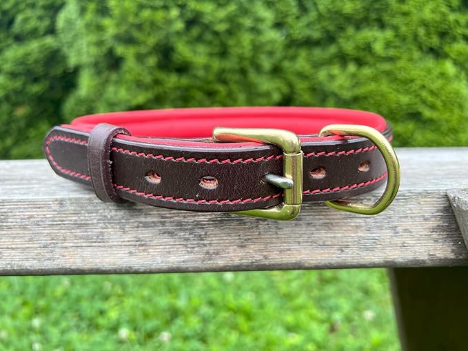 Leaders Leather Dog Collar with Customized Name Plate (Red/Brown Large (18"-22"))