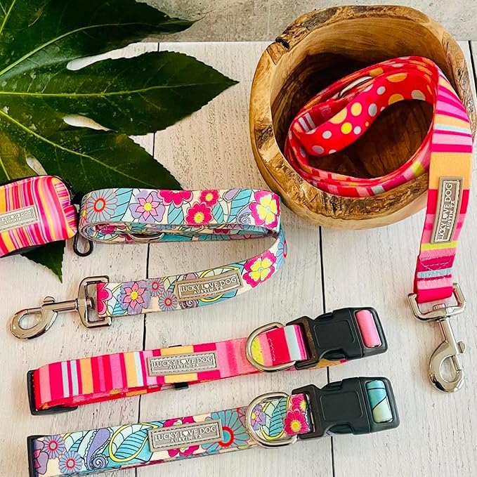 Lucky Love Dog - Easy Click Buckle Dog Collar with Leash Set Combo, Durable & Comfortable for Male & Female Dogs, Pet Collar for Small to Large Dogs, Secure Fit - Molly Combo, Small