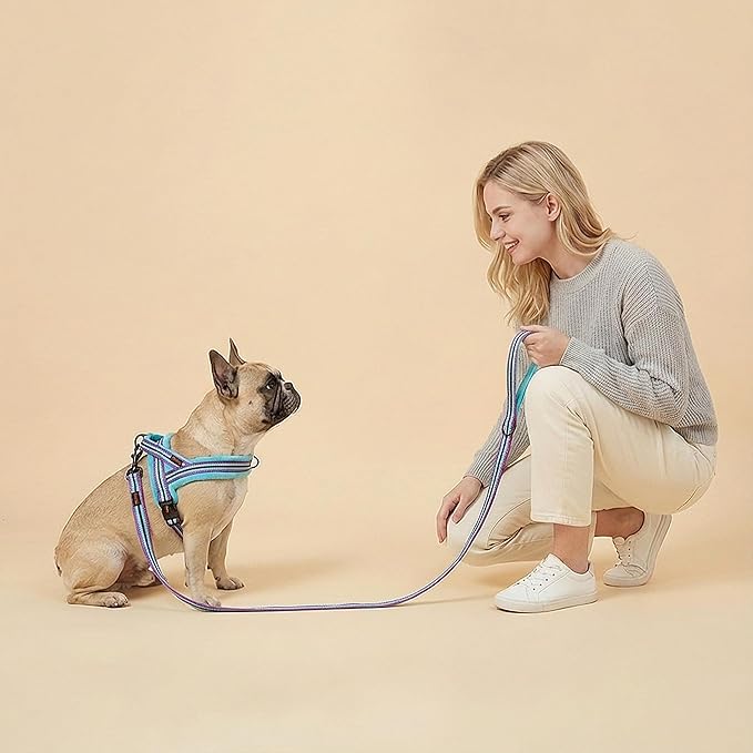 Didog Soft Flannel Padded Dog Vest Harness, No Pull/Quick Fit Reflective Dog Strap Harness, Easy for Training Walking (XS:Chest 15-18", Mixed-Blue)