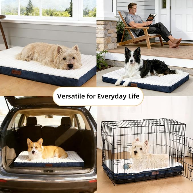 Orthopedic Dog Bed with Firm High-Density Egg Crate Foam, Machine Washable Cover & Non-Slip Bottom for Medium & Large Breeds (Blue, 35" L x 22" W x 3" H)