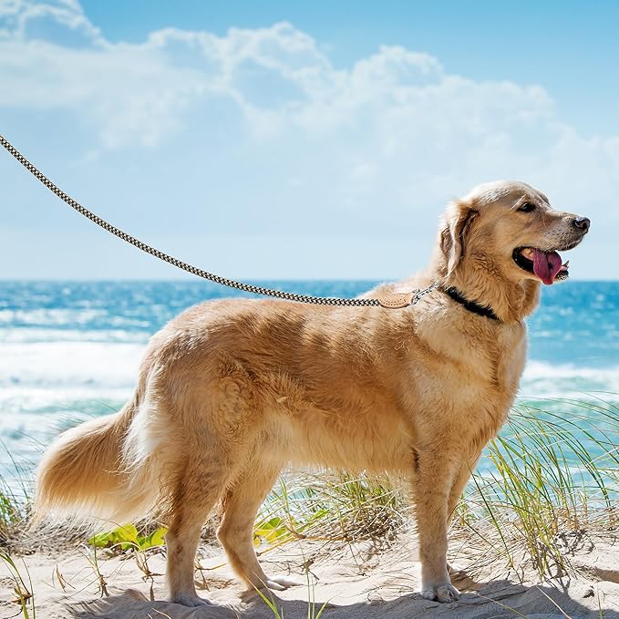 Mile High Life Rope Leash with Genuine Leather Connection, 6 FT/5 FT/4 FT, Heavy Duty Leash for Small Medium & Large Dogs(Black Khaki,48 Inch)