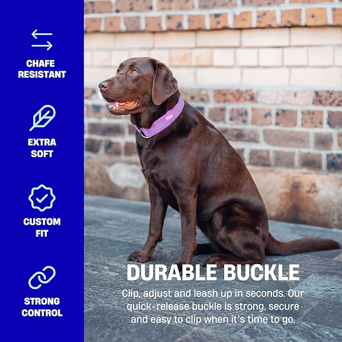 DF Co. Tactical Dog Collar | Comfortable & Secure with Quick Release Clip Buckle and Heavy Duty D-Ring | Soft Padded Neoprene, Chafe Resistant, Night-Time Visibility | Black, Size M