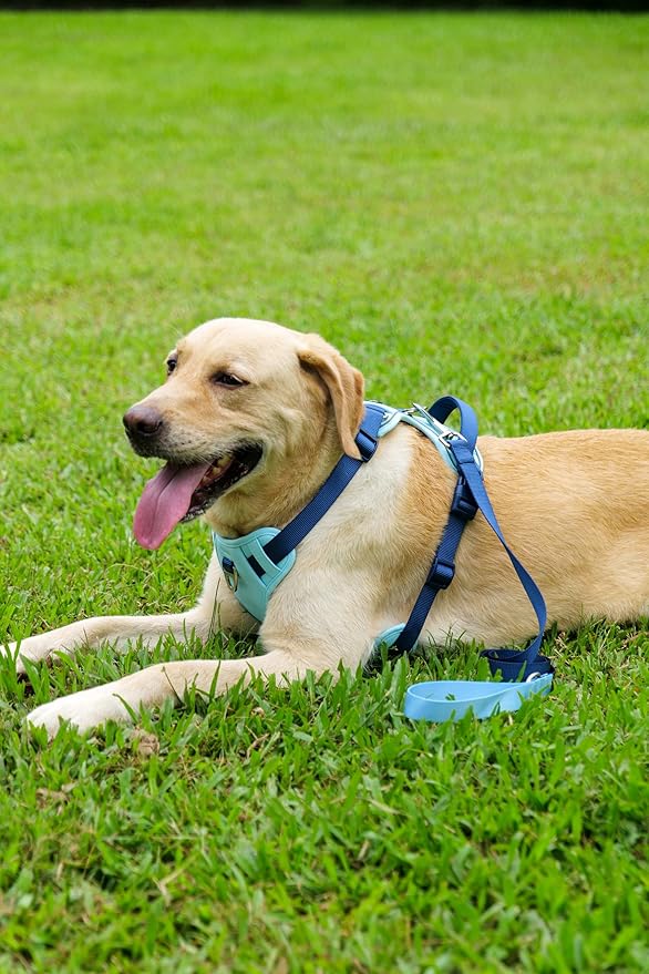 No Pull Dog Harness Leash and Collar Set, Soft Adjustable Dogs Vest Reflective and Comfortable Handle Blue Small