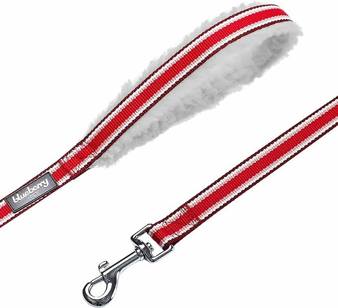 Blueberry Pet Multi-Colored Stripe Fleece Padded Dog Leash with Soft & Comfortable Handle, 4 ft x 1", Red, Large, Leashes for Dogs