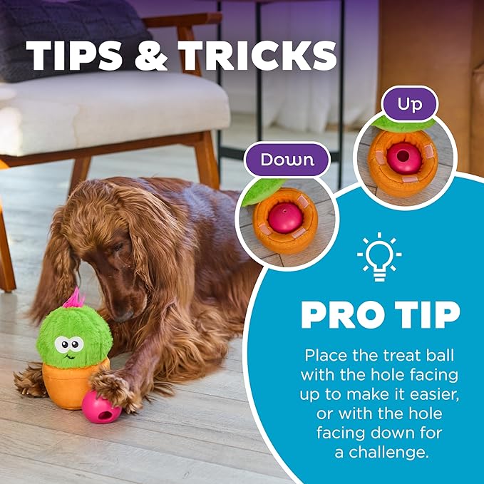 Outward Hound by Nina Ottosson Snack Palz Interactive Plush Dog Puzzle with Treat Ball, Cactus, Green