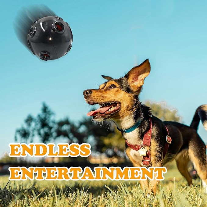 Squeaker Dog Toy Ball, 2-Layer Durable Chew Ball with Natural Rubber Shell & Hard ABS Core, Non-Bouncing for Fetch, Training and Aggressive Chewers, Unique Frog Croak Sound - 4 Inch