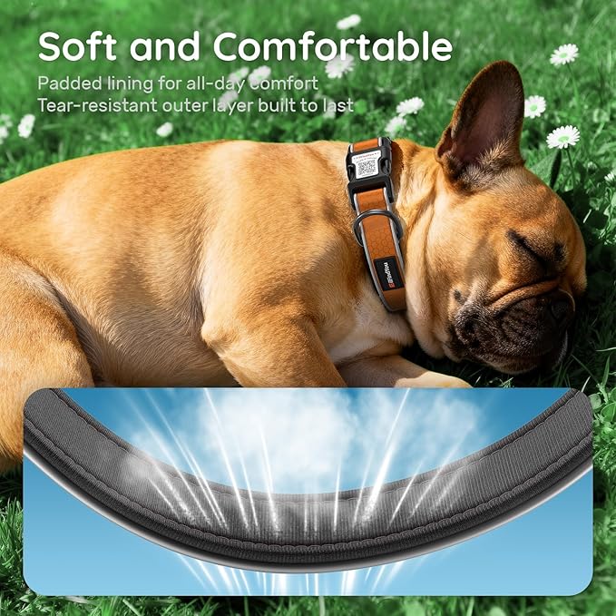 Reflective Dog Collar with QR Code Tag, Personalized Dog Collar, Safety Night Visibility, Anti-Loss Function (Orange, Small)