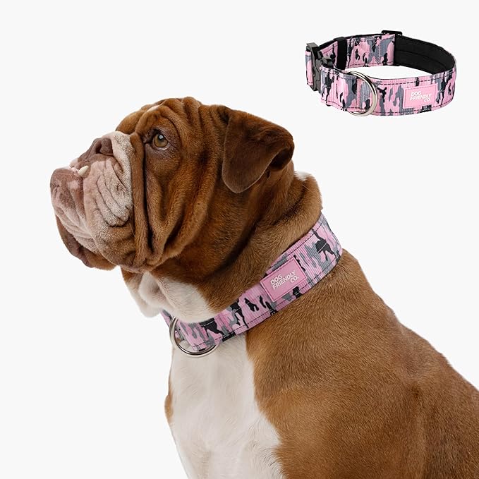 DF Co. Tactical Dog Collar | Comfortable & Secure with Quick Release Clip Buckle and Heavy Duty D-Ring | Soft Padded Neoprene, Chafe Resistant, Night-Time Visibility | Pink Camo, Size M