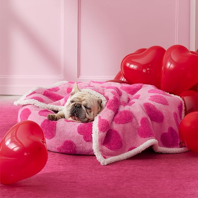 LE SURE Waterproof Puppy Blanket for Medium Dogs - Washable Double Sided Dog Blankets Valentine's Day Gift with Warm Soft Sherpa Fleece, Pet Cat Blanket for Couch Protection, Lover Hearts