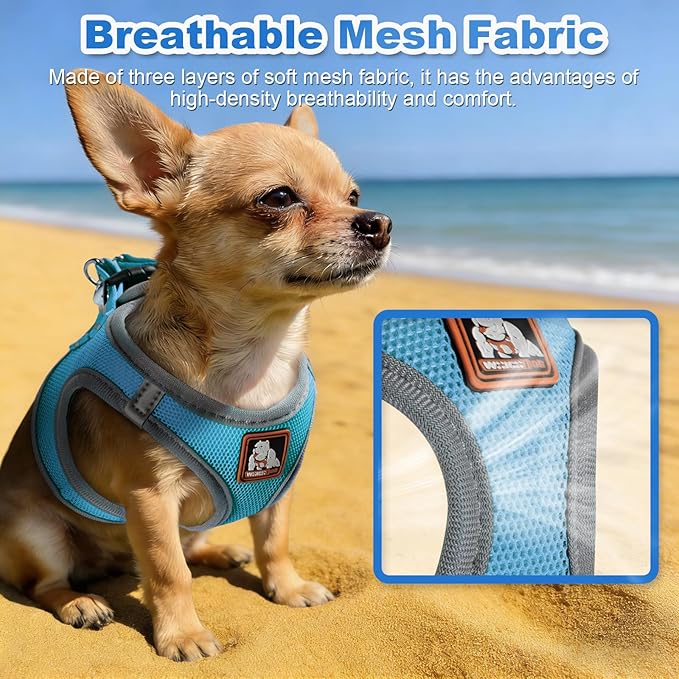 Dog Harness Medium Sized Dogs, Puppy Harness and Leash Set for Training, Running, Walking, Suitable for Small and Medium Dog Vest, Blue, L
