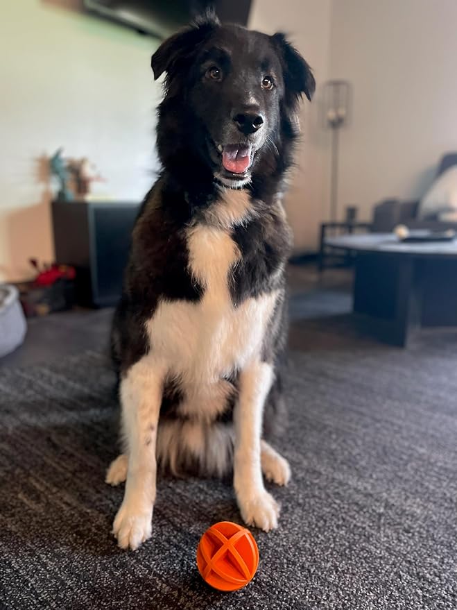4" Ball, Dog Chew Toy, Boredom Buster That Stimulates Your Dog's Natural Instincts